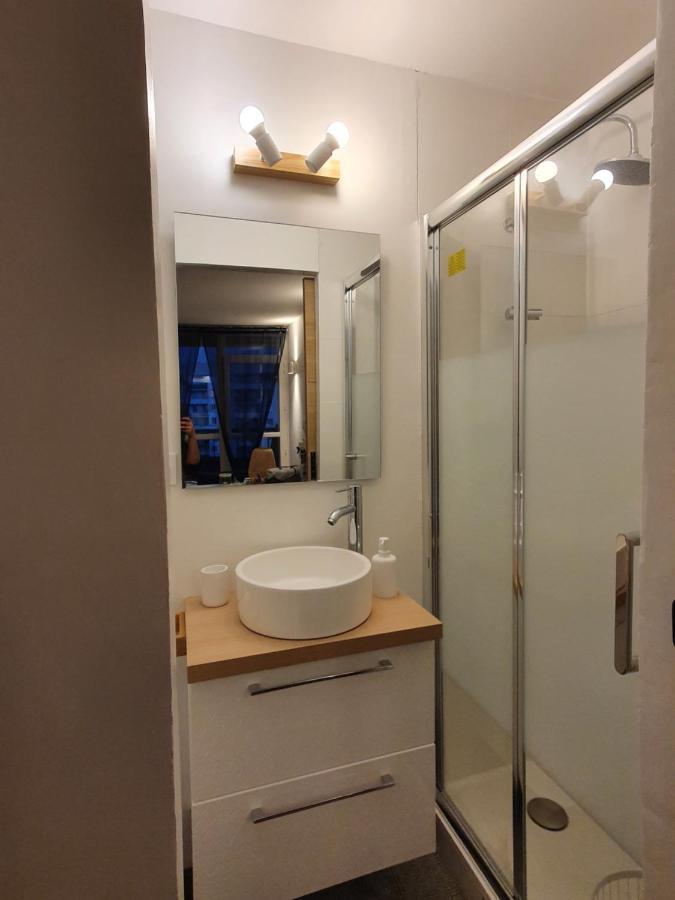 T2 Lumineux Centre Ville Proche Metro, Parking Gratuit,1 Chambre, 1 Grande Piece A Vivre تولوز المظهر الخارجي الصورة